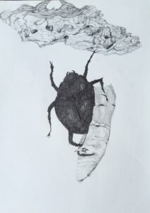 Vorschaubild 