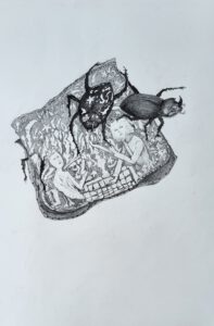 Vorschaubild 