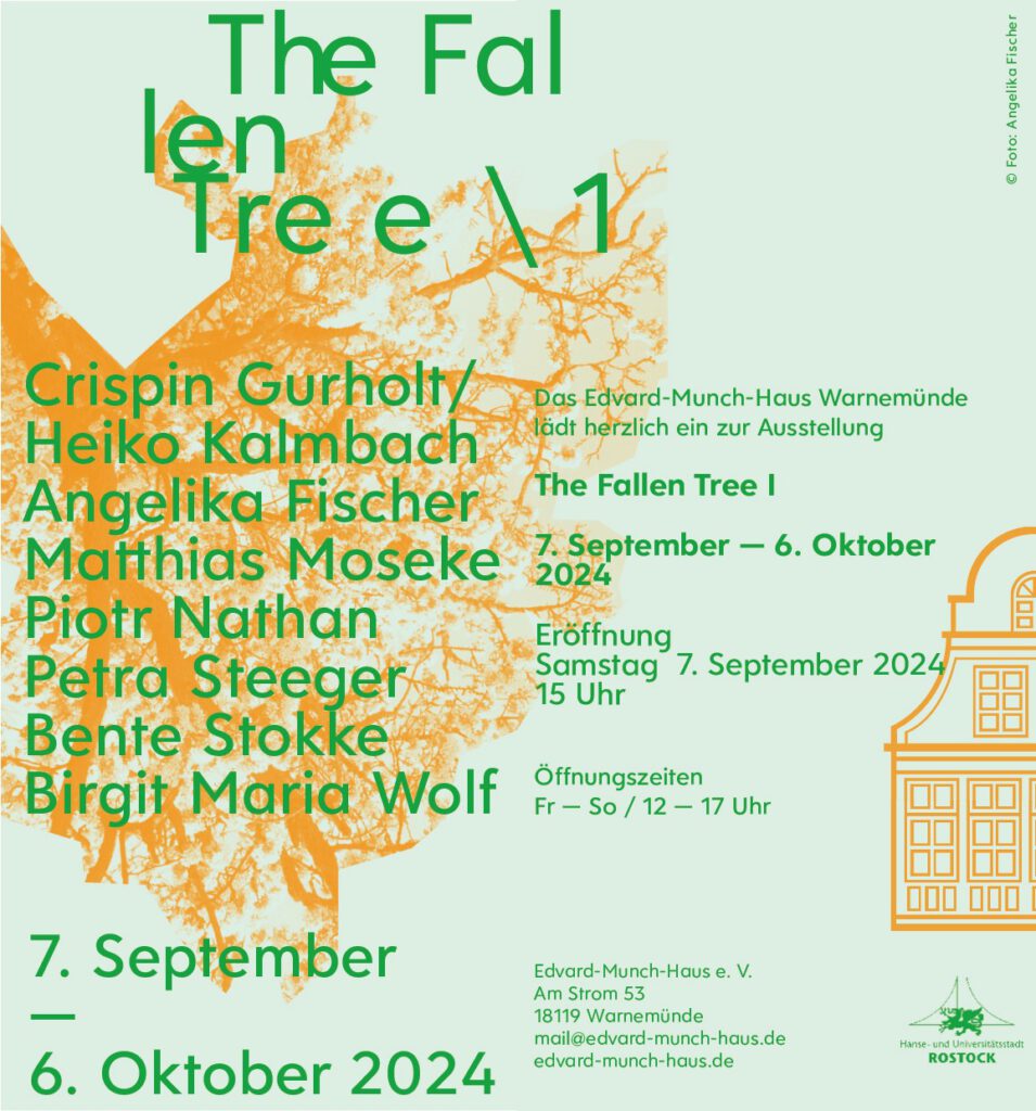 The Fallen Tree